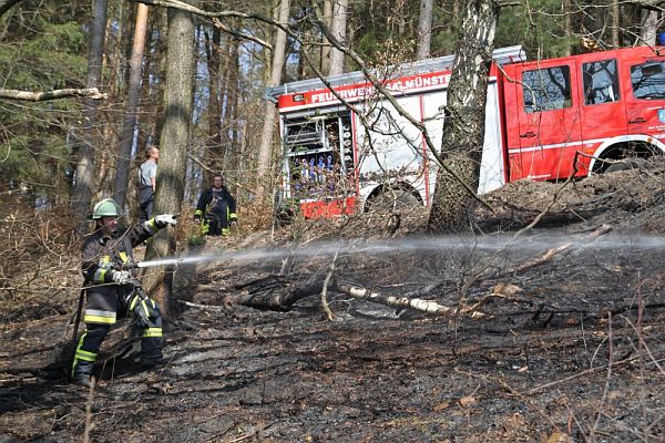 waldbrand5