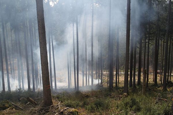 waldbrand7
