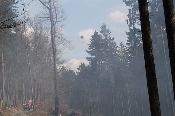 waldbrand8