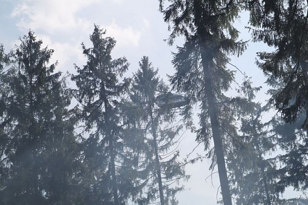 waldbrand9