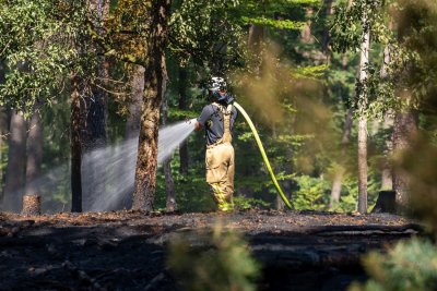 Größerer Waldbrand in Hanau-Großauheim