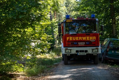 Größerer Waldbrand in Hanau-Großauheim