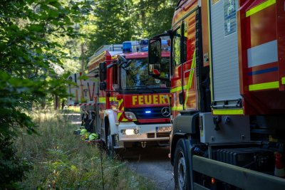 Größerer Waldbrand in Hanau-Großauheim