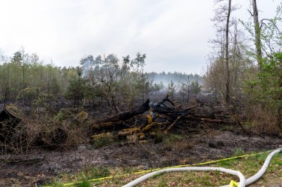 Waldbrand – Hubschrauber ortet Flammen aus der Luft