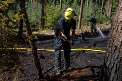 Größerer Waldbrand in Hanau-Großauheim