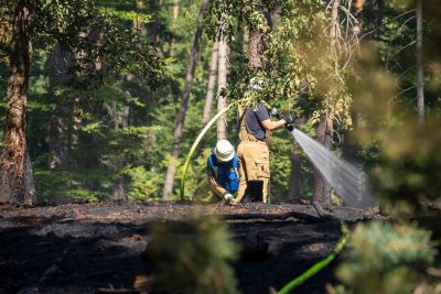 Größerer Waldbrand in Hanau-Großauheim