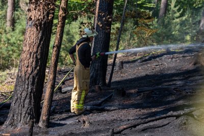 Größerer Waldbrand in Hanau-Großauheim