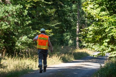 Größerer Waldbrand in Hanau-Großauheim