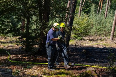 Größerer Waldbrand in Hanau-Großauheim