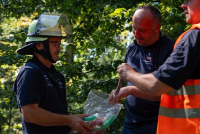 Größerer Waldbrand in Hanau-Großauheim