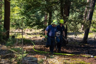 Größerer Waldbrand in Hanau-Großauheim