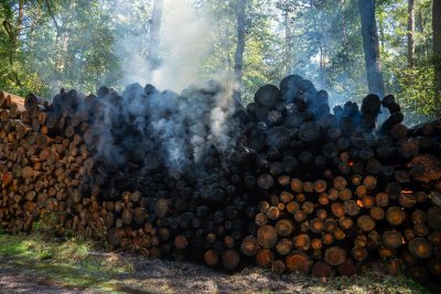 Brennender Holzpolter sorgt für größeren Einsatz