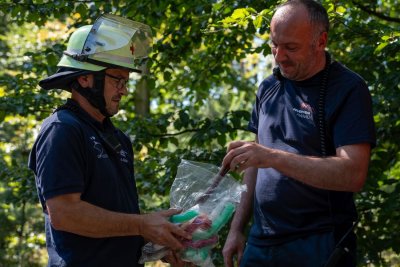 Größerer Waldbrand in Hanau-Großauheim