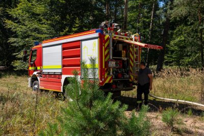 Größerer Waldbrand in Hanau-Großauheim