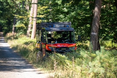 Größerer Waldbrand in Hanau-Großauheim