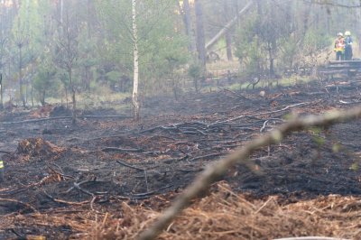 Waldbrand – Hubschrauber ortet Flammen aus der Luft