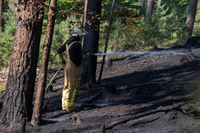 Größerer Waldbrand in Hanau-Großauheim