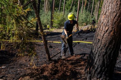 Größerer Waldbrand in Hanau-Großauheim